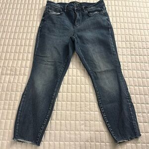 Judy Blue 14W Skinny Fit Jeans